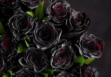 Header navigation sub menu